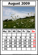 8-Kalender-N-09-August.jpg